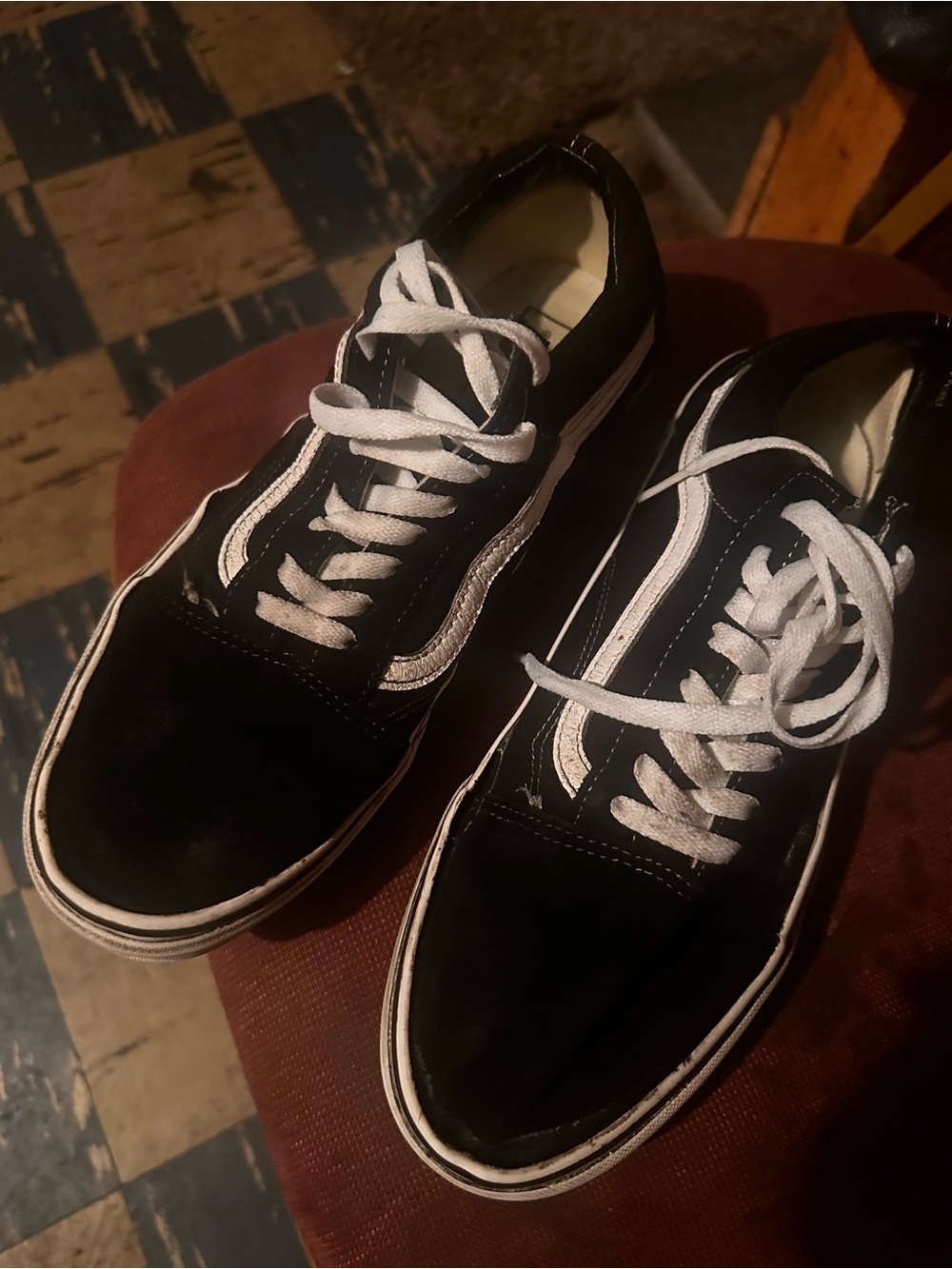 Vans Black and White Low-Top Skate Sneakers
